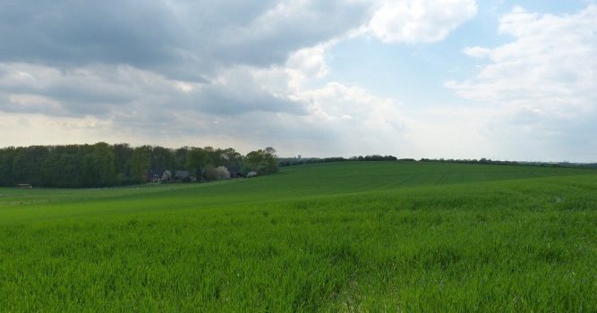 Münsterland Panoramablick über grüne Wiesenfelder auf ein Dorf