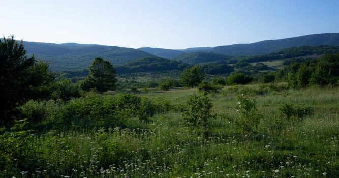 Oberschwaben: Blick über hügelige Wiesenlandschaft