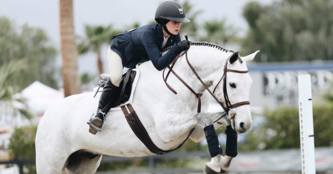 springreiten2